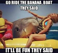 Jaws 4 Humor Twisted Humor Humour