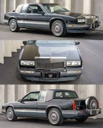 Image result for Bianco 1988 Fleet