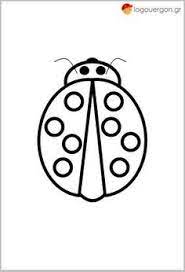 Pin Ston Pinaka Drasthriothtes
