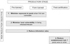 Requirements to get a pest control. A Risk Framework For Using Systems Approaches To Manage Horticultural Biosecurity Risks For Market Access Sciencedirect