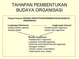 Terminologi pemahaman budaya dijelaskan oleh beberapa ahli. Episode 03 Ilustrasi Dan Budaya Organisasi Apa Yang