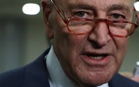 Image result for schumer'