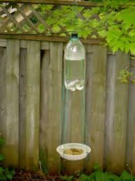 Bird In Bird Bath Plastic Bottle Dripping Birdbath Petdiys Com Bird Bath Diy Bird Bath Plastic Bottles