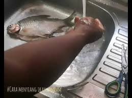 Check spelling or type a new query. Cara Masak Ikan Lampam Goreng Kunyit Lagu Mp3 Mp3 Dragon