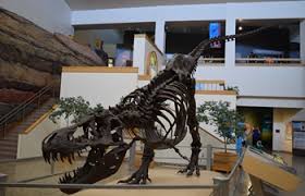 Longus, it is still one of the best known dinosaurs. New Mexico Museum Of Natural History Albuquerque Nm Allosaurus Roar