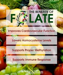 The 14 Best Folate Rich Foods To Consume Drjockers Com