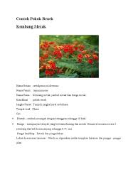 Jenis bunga anggrek termahal, langka, hitam. 8jenis Pokok Individu