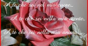 Aforisma D Amore Auguri Di Compleanno Rosa Rossa Buon Compleanno Figlia