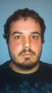 Former Little League coach pleads guilty to sexual abuse charges