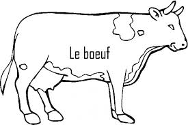 La grenouille et le gros boeuf. Coloriage Le Boeuf Couleur Dessin Gratuit A Imprimer