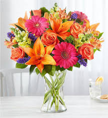 Because late, wilted arrivals are not an option this mother's day. 212 Floral Get Well New York Ny 10036 Ftd Florist Flower And Gift Delivery