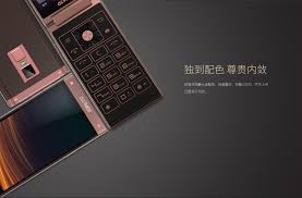 Buy GiONEE W909 Smartphone Online With ...