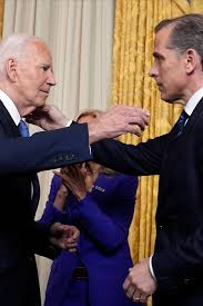 Image result for Bidens buchneri