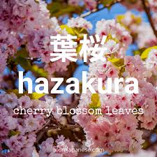 16 Essential Japanese Words For Spring Spring Words Japanese Words Japanese