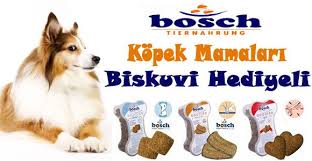 Kedi Ile Kopek Mamalari Ve Oyuncaklari Pet Ihtiyac Kopek Kedi Evcil Hayvanlar