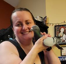 Adorable rescued king pigeon babies need adoption