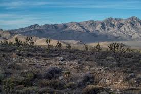 6,308 likes · 1,225 talking about this · 560 were here. East Desert Range Rug Mountain Proposed Wilderness Friends Of Nevada Wilderness