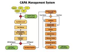 What Is The Main Purpose Of Corrective And Preventive