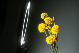 How To Achieve The Best Macro Photography Lighting