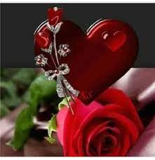 من علامات القلوب السليمة أن نفرح لفرح الآخرين ونتعاطف معهم و نقف بجانبهم ونحزن لحزنهم ولآ نقبل لهم الضرر christmas ornaments holiday novelty christmas