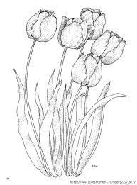 In the end, printable coloring pages are available from free coloring pages website getcolorings.com. Pin By Katia Cilene Lopes On Pen Ink Floral Flower Drawing Coloring Pages Painting Patterns