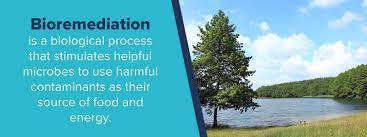 These include reduced cost compared to more traditional methods and sustainability. Guide What Is Bioremediation Bioremediation Benefits More