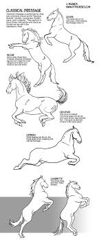 How To Draw Classical Dressage Movement By Sketcherjak On Deviantart Animal Drawings Drawings Horse Drawings