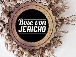 Rose Von Jericho Bildschirmfoto