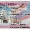 So if your green card reads nbc 20 045, your case was received at the national benefits center in the 2020 fiscal year, on the 45th workday. Https Encrypted Tbn0 Gstatic Com Images Q Tbn And9gct4oa 4gpd9ugs6b1hgws1wbbrsjpezvw9agxm6ndwikq4iqmd3 Usqp Cau
