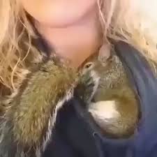Click On Visit Watch More Videos Click Videos Visit Watch Funny Animal Videos Cute Funny Animals Cute Animals