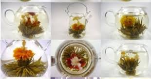 Amazon Com 10 Blooming Flower Tea 5 Jasmine And 5 Green Beauty Blooming Flower Tea Blooming Tea Flower Tea