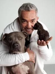 Willst du auch ein xing profil? Cesar And Junior With A Cat On The Hand Dog Whisperer Dog Whisperer Cesar Millan Dog Lovers
