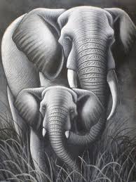 Baby Black And White Elephant Pictures Daily Limit Exceeded Black And White Painting Bali Painting Elephant Pictures
