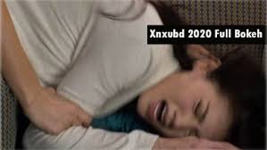 Videos bokeh full jpg (1). Vidio Sexxxxyyyy Video Bokeh Full 2020 China 4000 Youtube Video