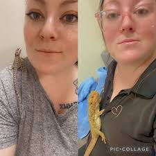 Today's the day I got my baby girl three years ago she had a special  afternoon lunch 🥗 🍌 and had bugs yesterday