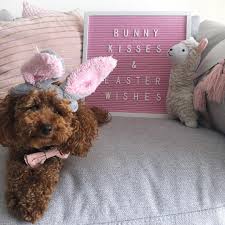 62 Likes 5 Comments My Blush Crush Myblushcrush On Instagram Happy Easter To Everybunny Celebrating Today Technically My Easter Is Not Until Ne
