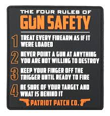 Image result for Gun Safety