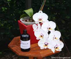 Orchid Love The World S Best Orchid Food Orchid Food Natural Plant Food Orchids