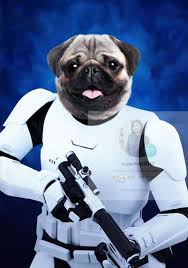 Being happy with your pet portrait isn't good enough for us; Custom Storm Trooper Pet Portrait Pet Portraits Dog Portraits Custom Pet Portraits
