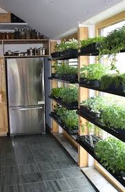21 Kitchen Herb Garden Ideas Fit For Every Space Herb Garden In Kitchen Indoor Vegetable Gardening Growing Plants Indoors