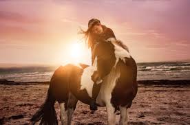 Dieses video soll endlich mal eine gewisse person wachrütteln. Der Beste Beweis Von Liebe Ist Vertrauen Mein Pferd Mein Freund