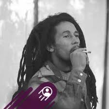 Second-straight game of Kamilla Cardoso rocking A'ja Wilson's signature  sneaker 🔥