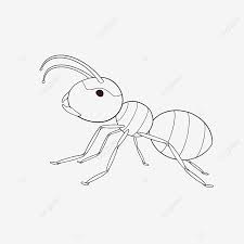 For boys and girls, kids and adults, teenagers and toddlers, preschoolers and older kids at school. Satisfied Ant Clipart Black And White Satisfaction Satisfied Ant Png Transparent Clipart Image And Psd File For Free Download