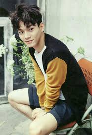 Chen Exo Chen Kpop Dinozorlar