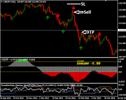 Double Gain Forex System Stock Research Trading Strategies