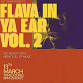 Flavor In Ya Ear Vol 2.
