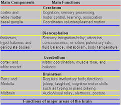 41 Reasonable Cognitive Functions Chart