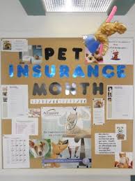 Oaklands veterinary centre is an equine and small animal vet practice, located on low lane, in high leven. Pin On 2014 Vet Clinic Decorating Contest