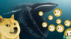 Maybe you would like to learn more about one of these? Mystical Whale Holds Worth 15 Billion Of Dogecoin Thenewscrypto