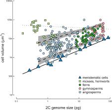 We did not find results for: The Scaling Of Genome Size And Cell Size Limits Maximum Rates Of Photosynthesis With Implications For Ecological Strategies Biorxiv